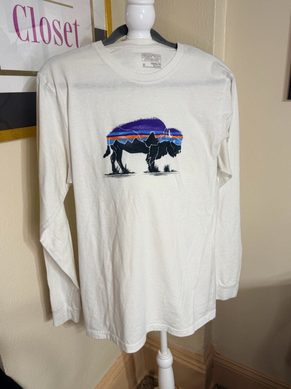 Patagonia White Long-Sleeve Tee with Multicolor Buffalo Graphic